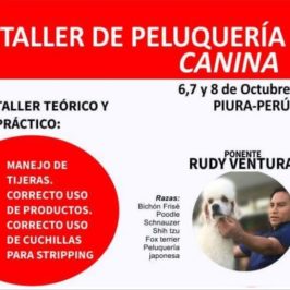 Taller de peluquería Canina Piura – Perú