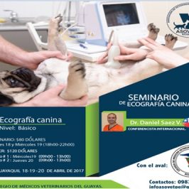 Seminario de Ecografía  2017