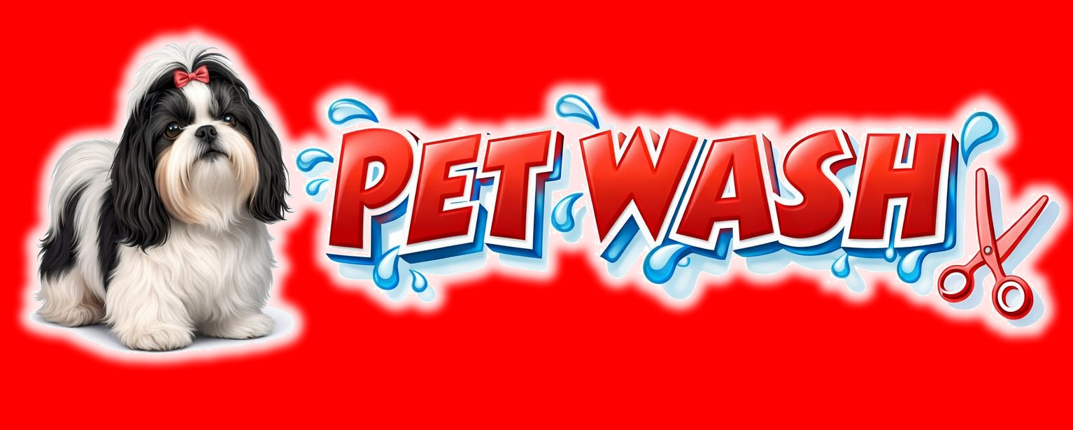 clinica veterinaria Petwash